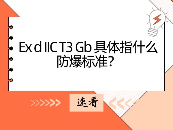 Ex d IIC T3 Gb 具體指什么防爆標準